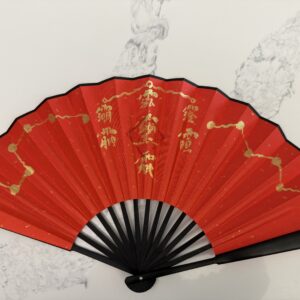 Custom Energy Folding Fan